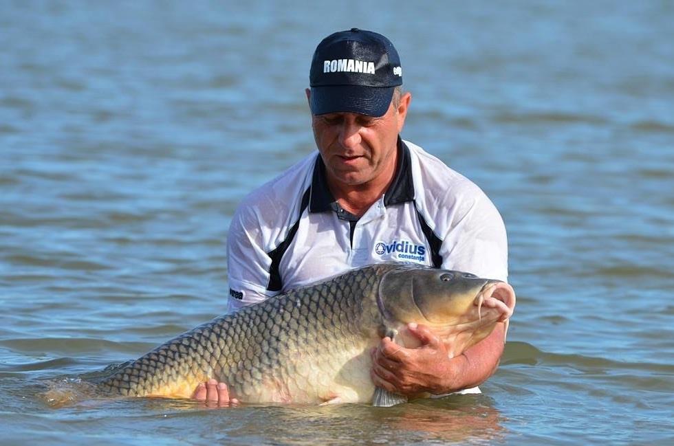 Duminica incepe BEST 5 CARPS